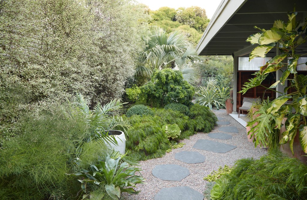 Picture of: A lush but drought-tolerant garden in California – Gardens Illustrated