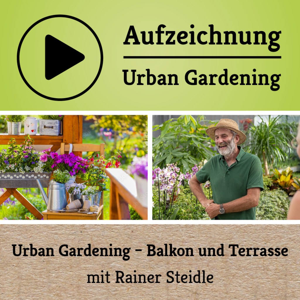 Picture of: Aufzeichnung EM-Webinar – Urban Gardening