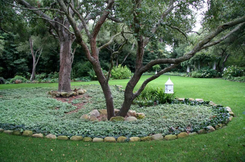 Picture of: Different Styles of Landscaping Around Trees