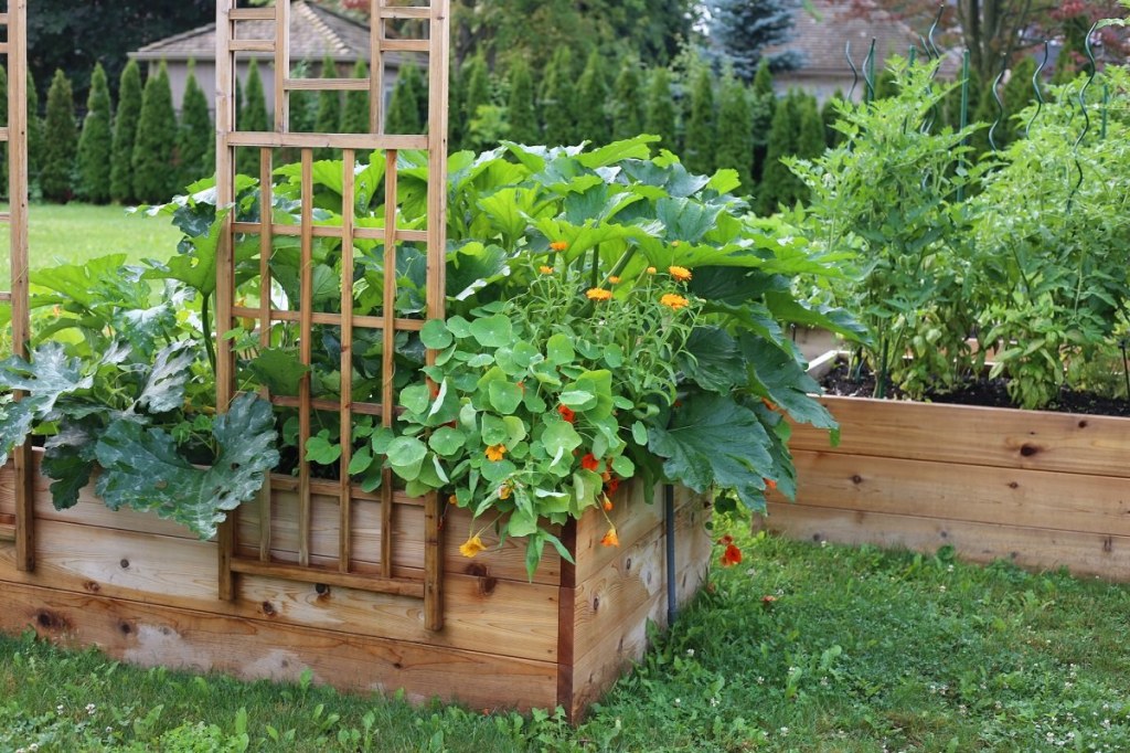 Picture of: How to Plan a Raised Garden Bed for Abundance — gardenologie
