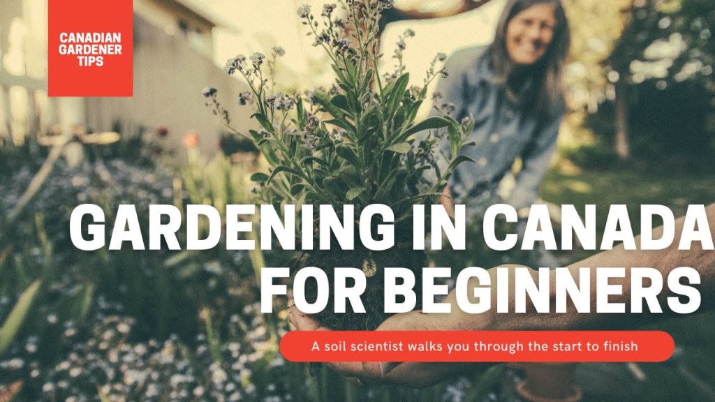 Picture of: How To Start A Garden In Canada? A Canadian Gardener Guide To Cold Climates   Gardening in Canada
