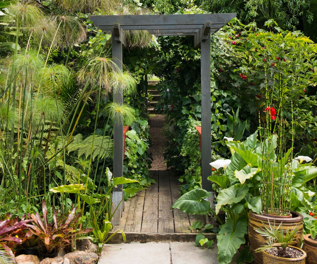 Picture of: Ideas to steal from a lush palm-filled garden – Your Home and Garden