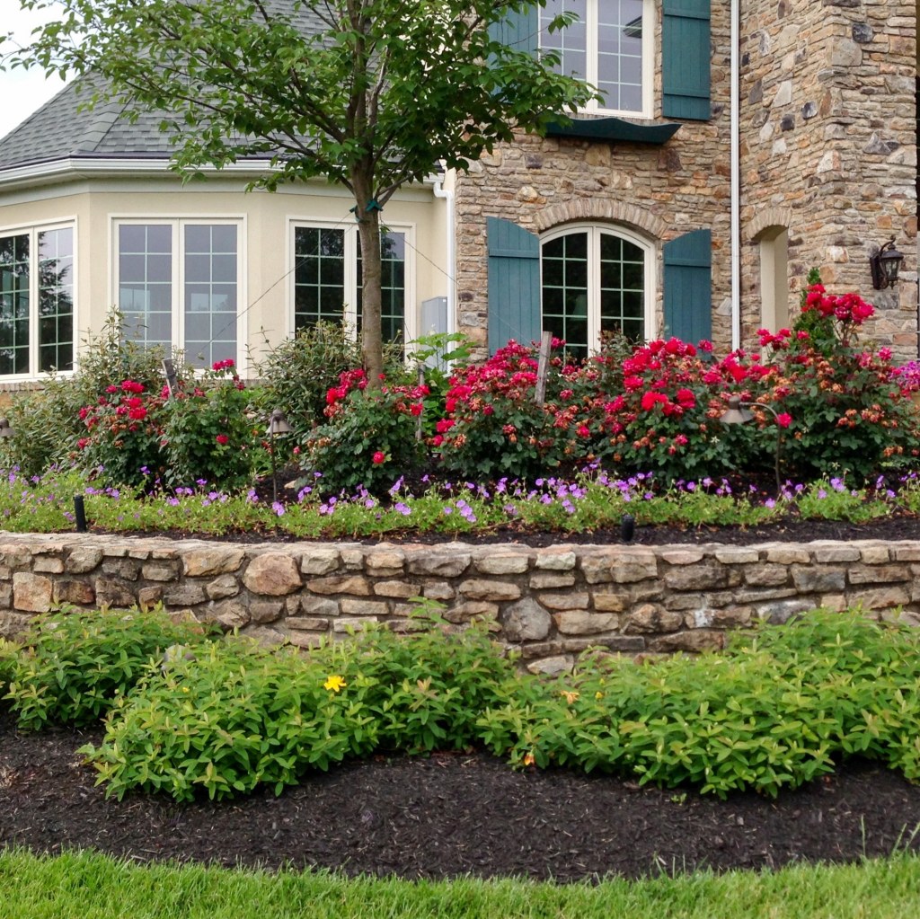 Picture of: Landscaping Ideas For The Front Of Your House  PLANT Design Group