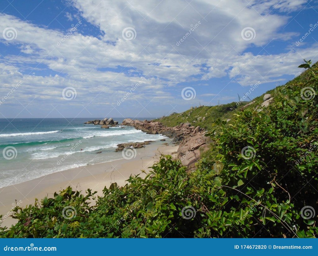 Picture of: Lonely Paradise Clear Water Beach with Vegetation Stock Photo