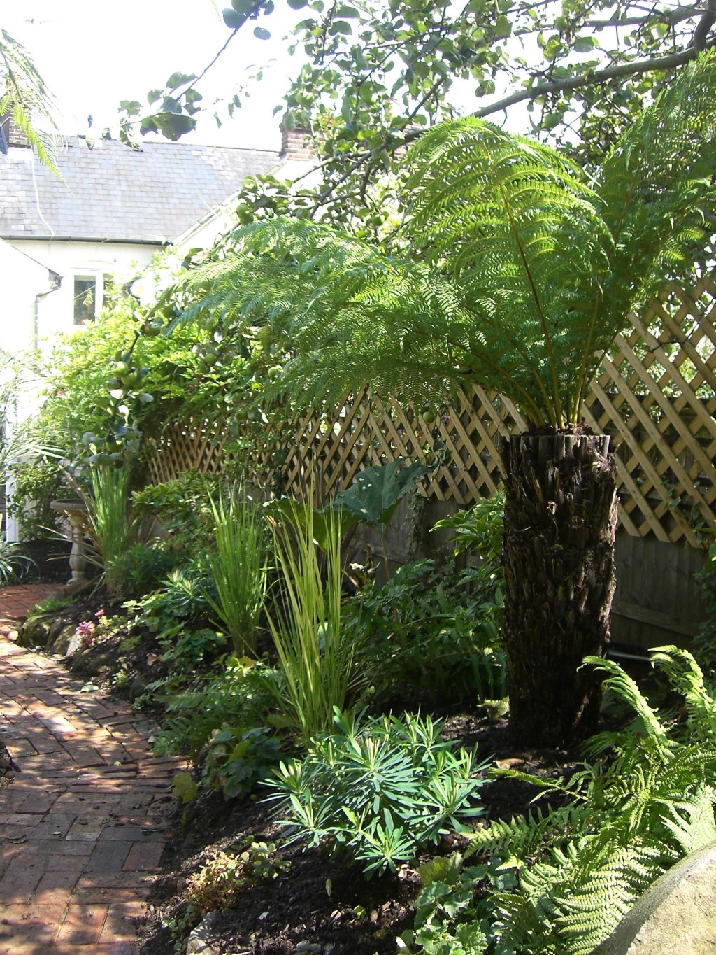 Picture of: Lush and Secluded Foliage Gardens  Houzz UK