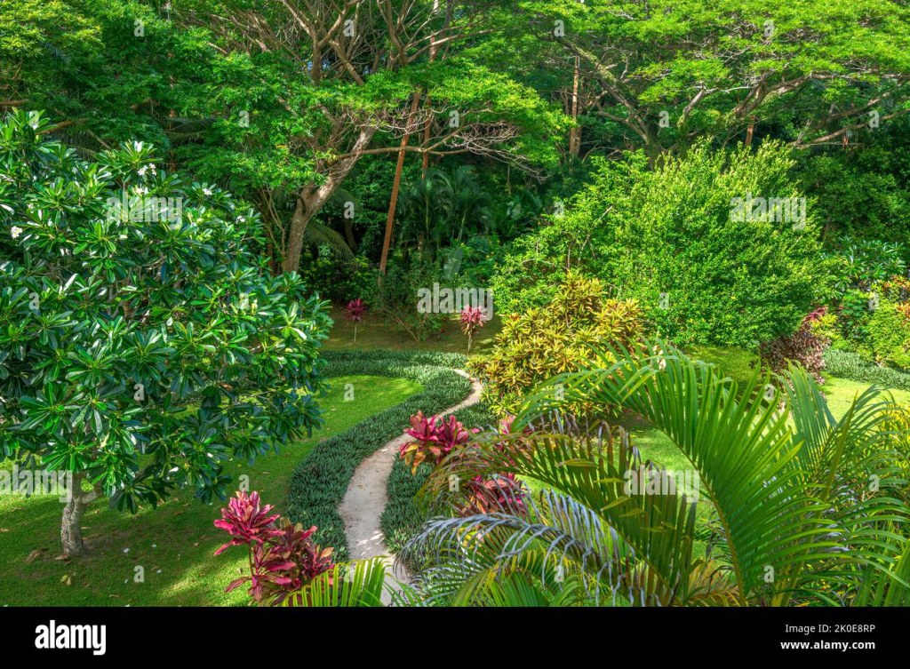 Picture of: Lush garden hi-res stock photography and images – Alamy