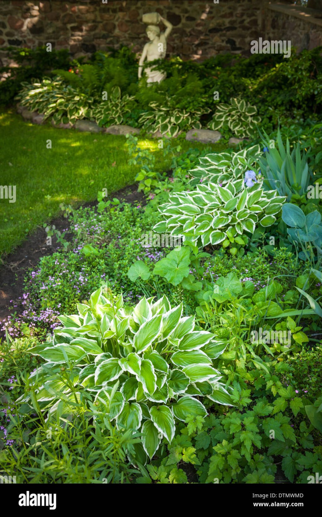 Picture of: Lush green summer garden with perennial plants and flowers Stock