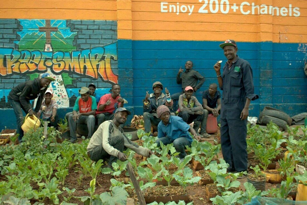 Picture of: Urban Agriculture thrives In Nairobi During COVID- Crisis