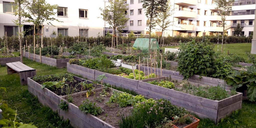 Picture of: Urban Farming: Gemeinschaftsgarten und Gemüse Pachtparzelle