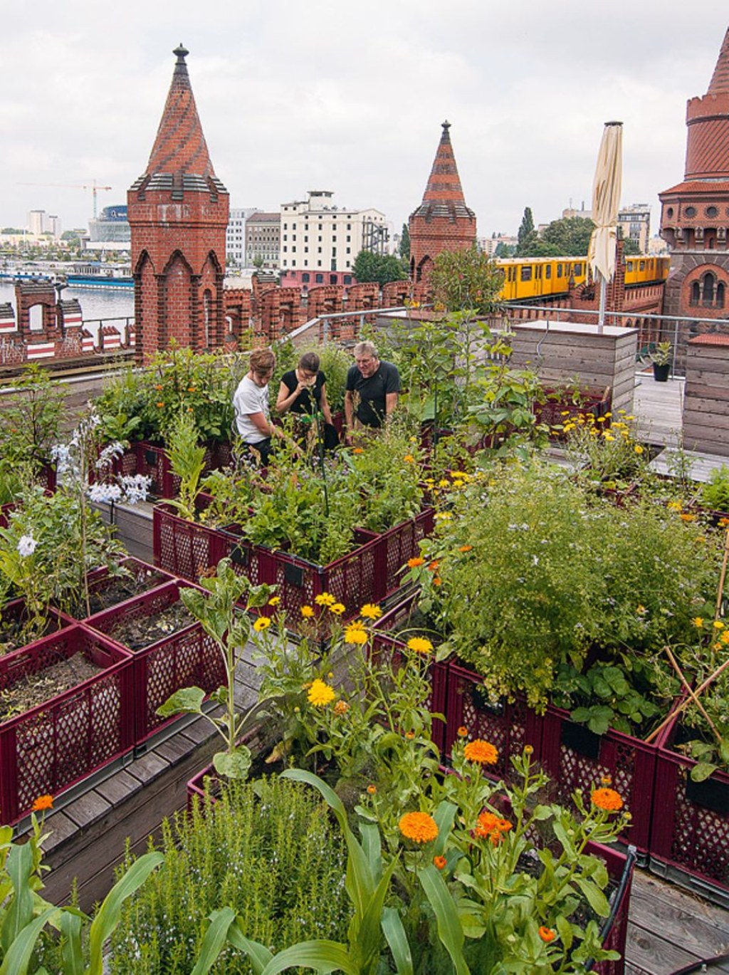Picture of: Urban Gardening – Gemeinschaftsgärten in der Stadt – [SCHÖNER WOHNEN]